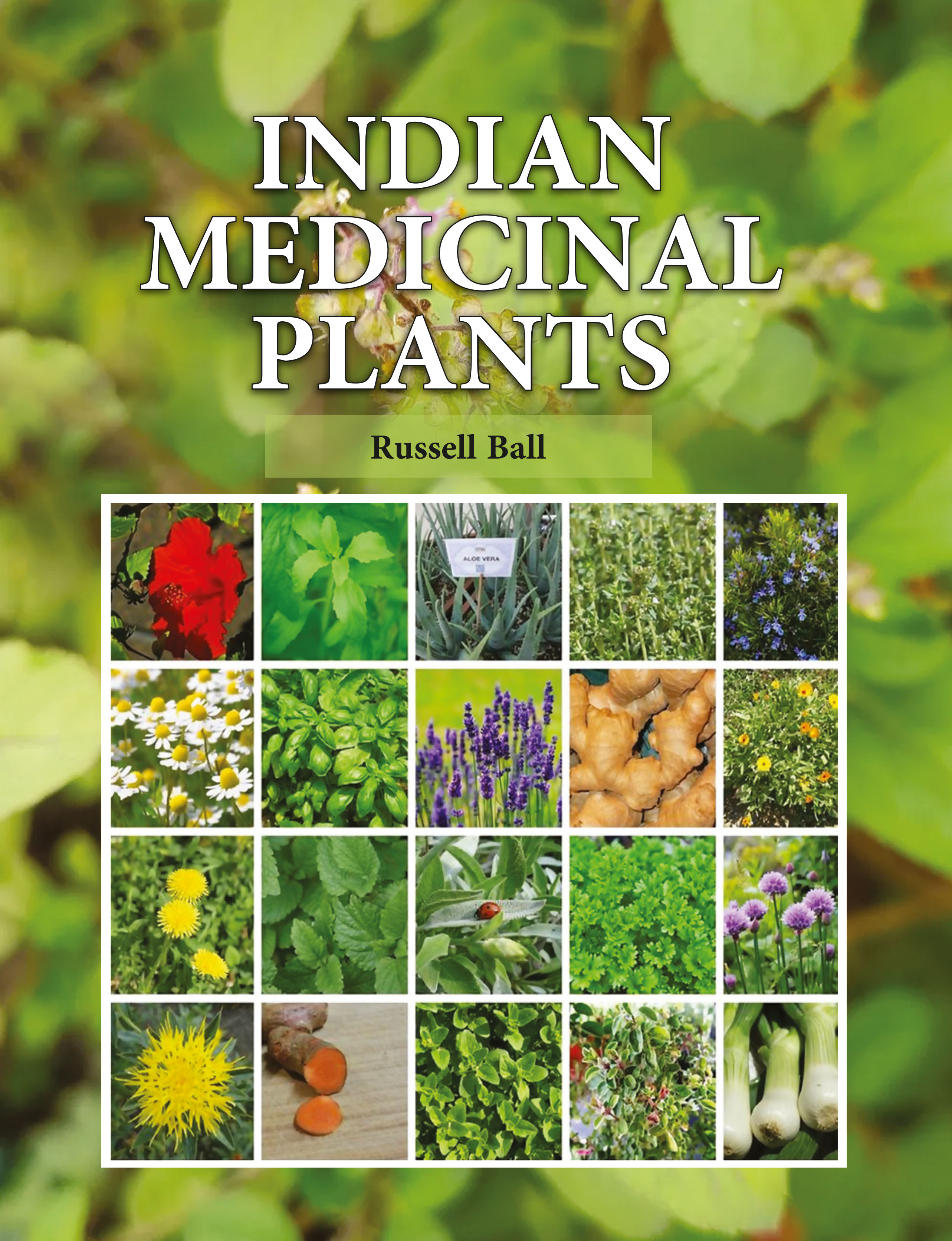 Indian Medicinal Plants